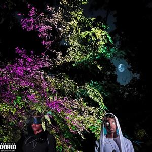 FLGM! (Explicit)