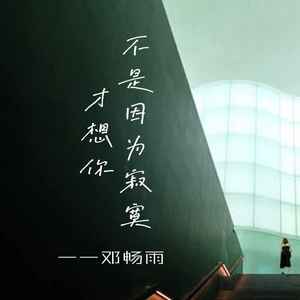 不是因为寂寞才想你 (温柔版) - 邓畅雨封面