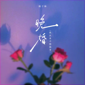 晚婚 (我从来不想独身)