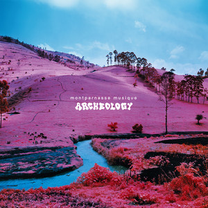 Bonjour (Extended Version)