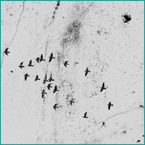 Brb Bb (feat. Aleko Nunez)