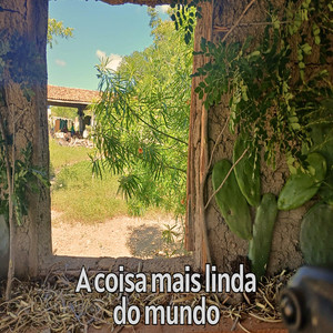 A Coisa Mais Linda do Mundo