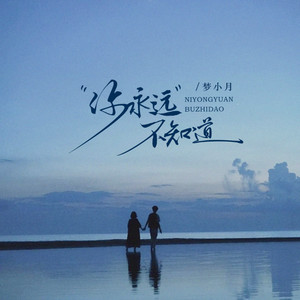 你永远不知道 (撕裂版)封面