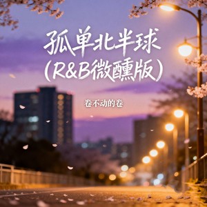 孤单北半球 (R&B微醺版)