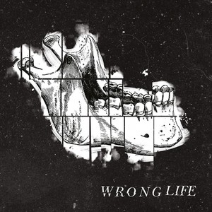 Wrong Life (Explicit)