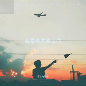 我是真的爱上你 (Live)
