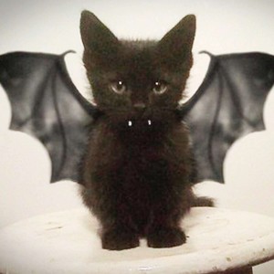 Расстройство (Explicit)