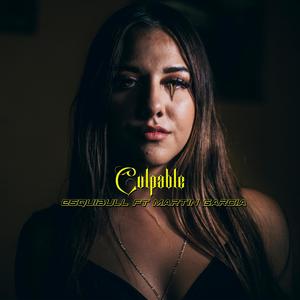 Culpable (feat. Martin Garcia) (Explicit)