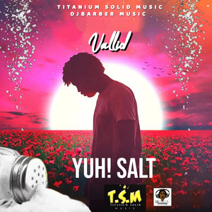 YUH SALT (Radio Edit)