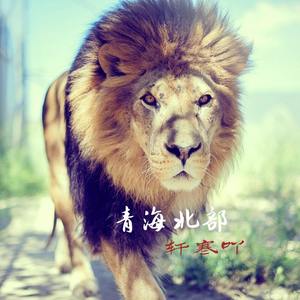 cheap Thrills (小提琴)