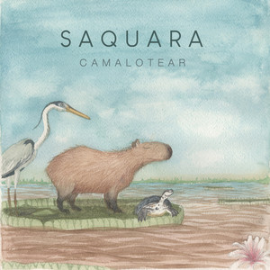 Preludio de un atardecer (chamamé)