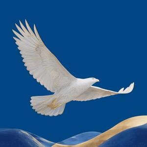 Ina ruwana daku yan sa ido