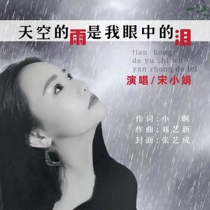 天空的雨是我眼中的泪