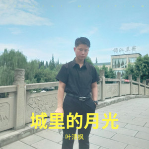 城里的月光