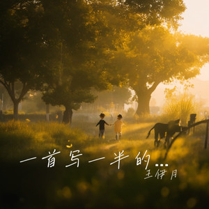 一首写一半的诗DJ