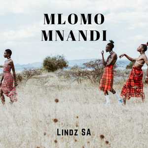 Mlomo Mnandi (Original Mix)