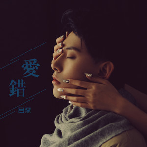吕斌 - 爱错