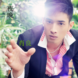 肖良 - 走走就了