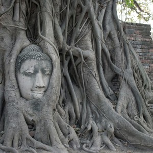 Visions From The Past