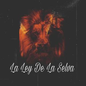 La Ley de la Selva (feat. El Deri Deri) [Explicit]