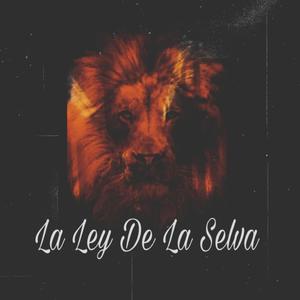La Ley de la Selva (feat. El Deri Deri) (Explicit)