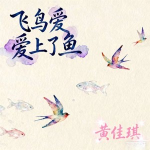 黄佳琪 - 飞鸟爱上了鱼