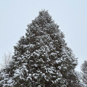 nothing feels like christmas as a kid