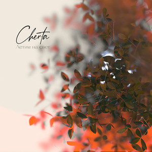 Летим на свет