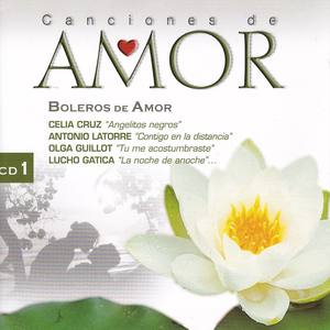 Canciones de Amor: Boleros de Amor 1