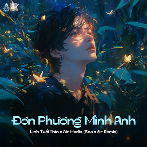 Đơn Phương Mình Anh (Sea x Air Remix)