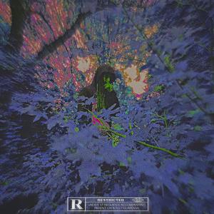 Imagine (feat. Kammeron Bridges) (Explicit)