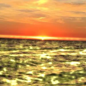 Sun Reaches Creatures Of The Deep