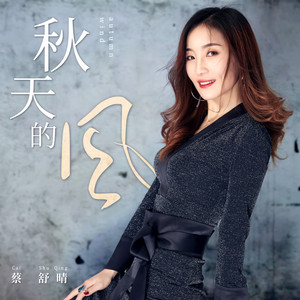 秋天的风 (DJ阿远版) - 蔡舒晴封面