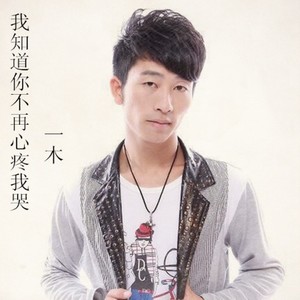 愿