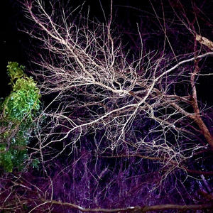 Used Knife (Explicit)