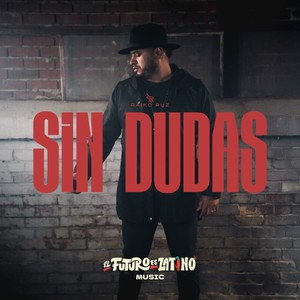 Sin Dudas