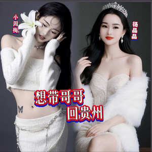 想带哥哥回贵州 (伴奏)