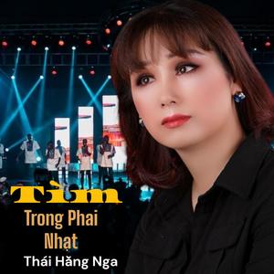 TÌM TRONG PHAI NHẠT (feat. Sáng Tác: Minh Trường)