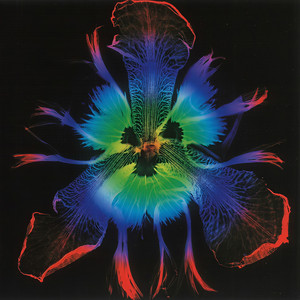 screen1 トリカゴ (2003 ver.)