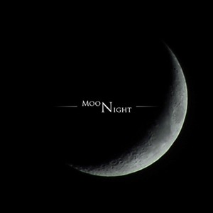 moonlitnight