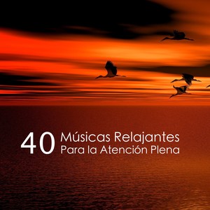 40 Músicas Relajantes Para la Atención Plena