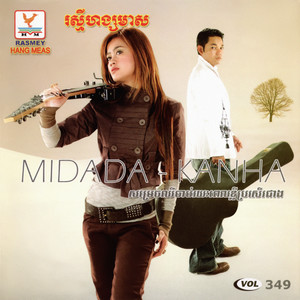 កំណាត់ឈើពុកផុយ