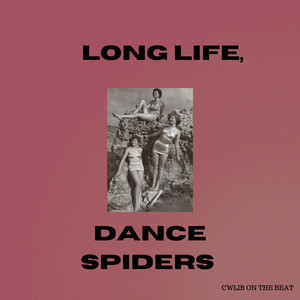 Dance Spiders