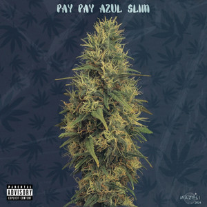 Pay Pay Azul Slim (Explicit)