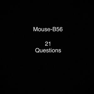 21 Questions (Explicit)