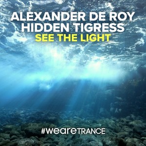 See the Light (Radio Mix)