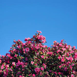 Slowly (feat. im.fine)