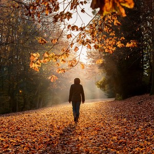 When Silence Feels Soft