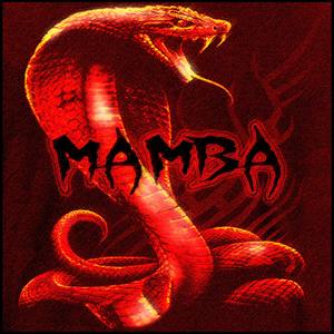 MAMBA (Explicit)