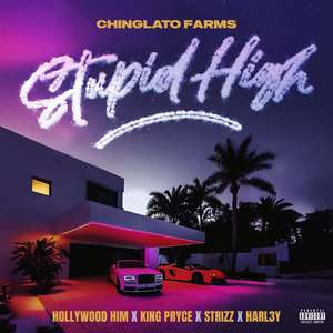 Stupid High (Explicit)